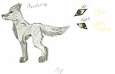Phantom(c)