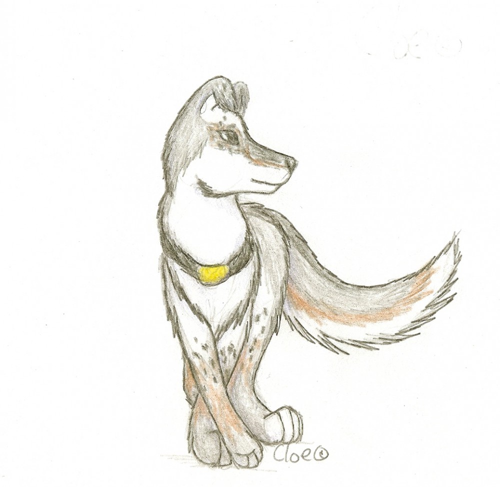 Cloe(c)