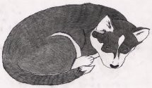 sleeping baby