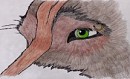 Rafa: Close up