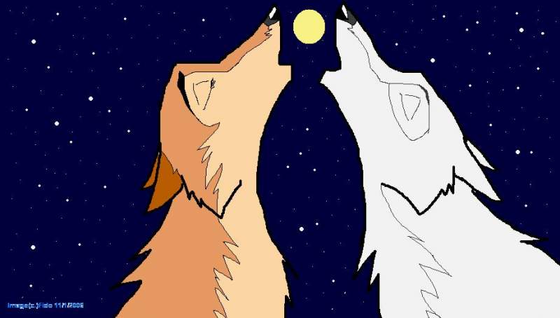 Wolf Quest Song