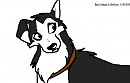 Blaze headshot