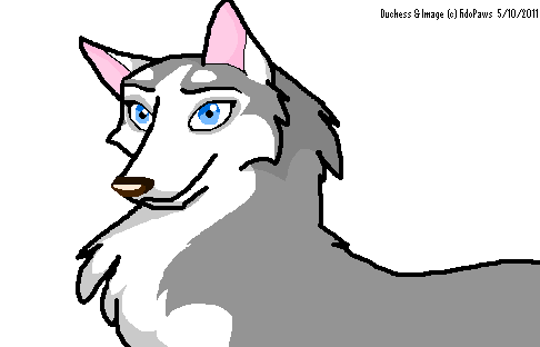 Duchess headshot