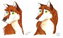 Aleu-redesign