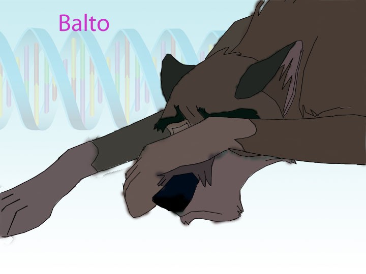 balto