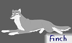 Finch