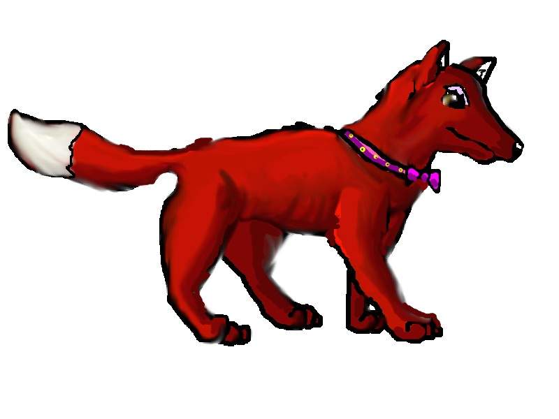 Kaia (Contest)