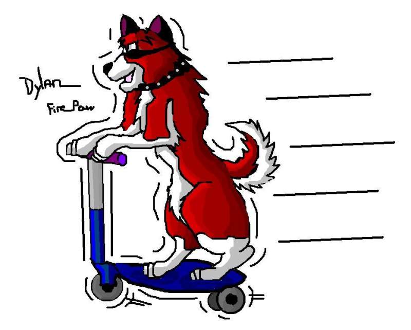 Dylan on a scoot