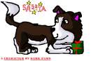 Saskia as a puppy