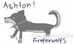 firefoxwolf5