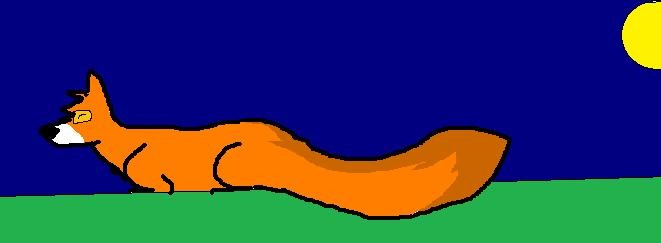Fiz at night time