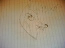 A free hand drawing of Balto.
