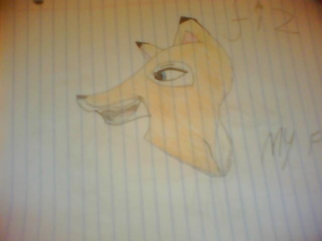 Free hand drawing of Fiz.
