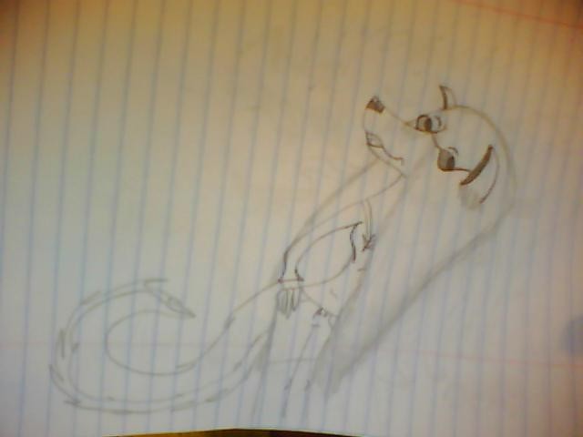 First Anthro.
