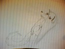 First Anthro.