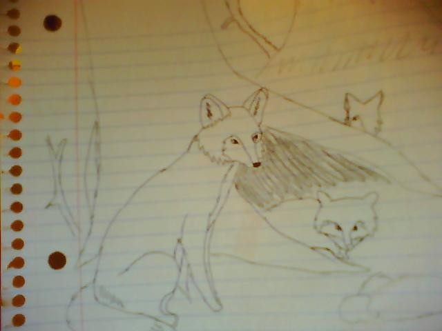 Foxes in the forest.