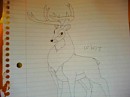 A Buck.