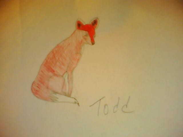 A badly drawn fox.