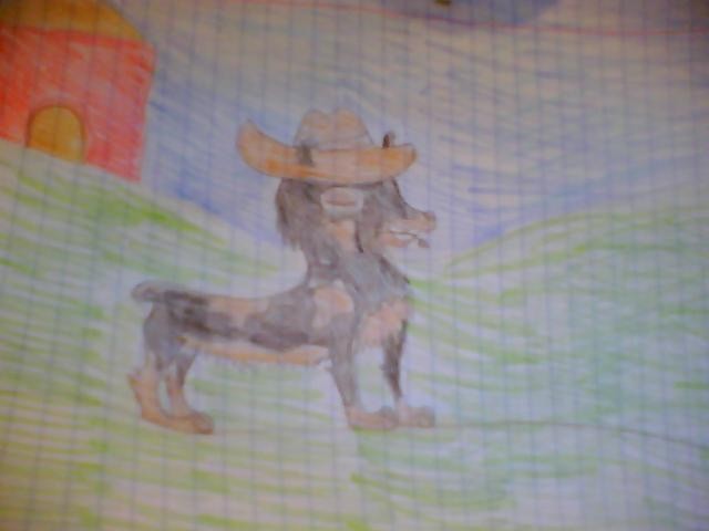 'Cause a true country boy is hard to find.