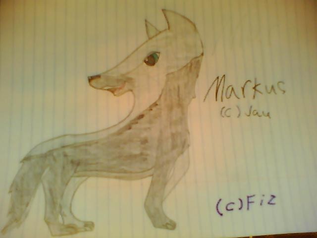 Markus