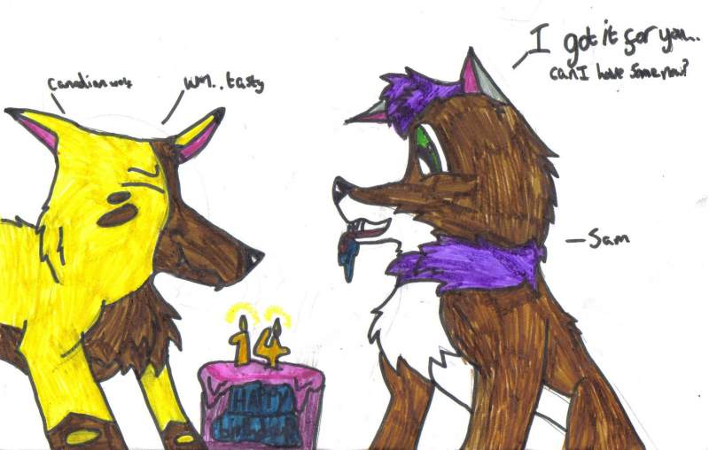 Happy B-day!