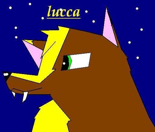 lucca