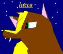 lucca