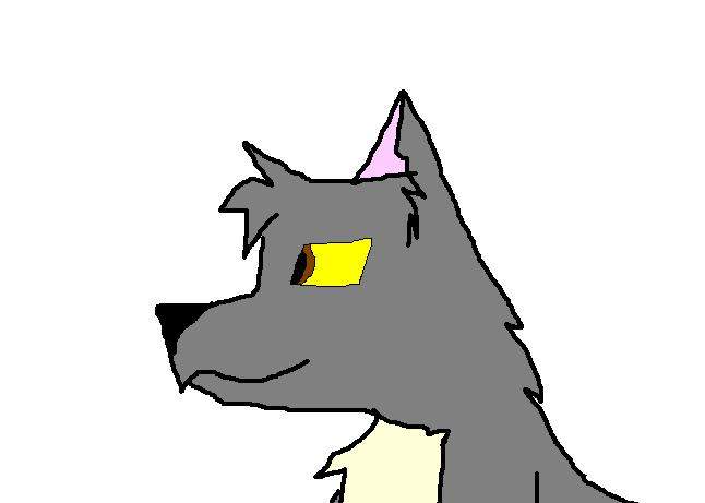 random wolfeh