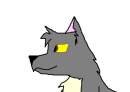 random wolfeh