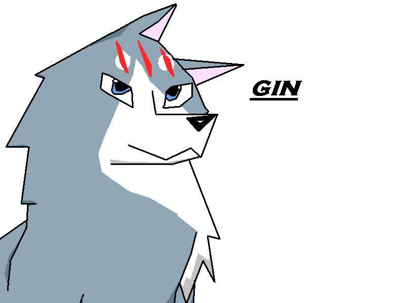 gin