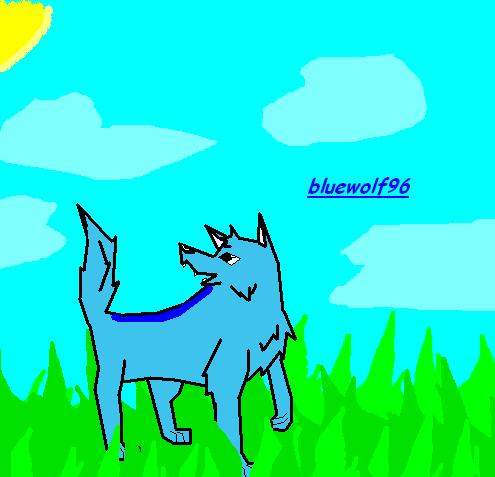 blue wolf 96 gift art