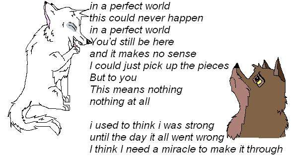 balto and aniu