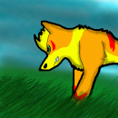 OMG grass