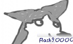 flash90000
