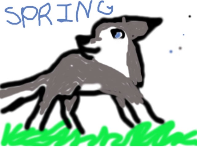 SPRING