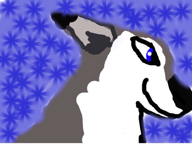 BAD
