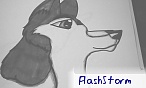 FlashStorm