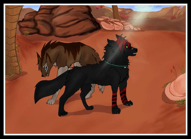 Tepic & Chinnook
