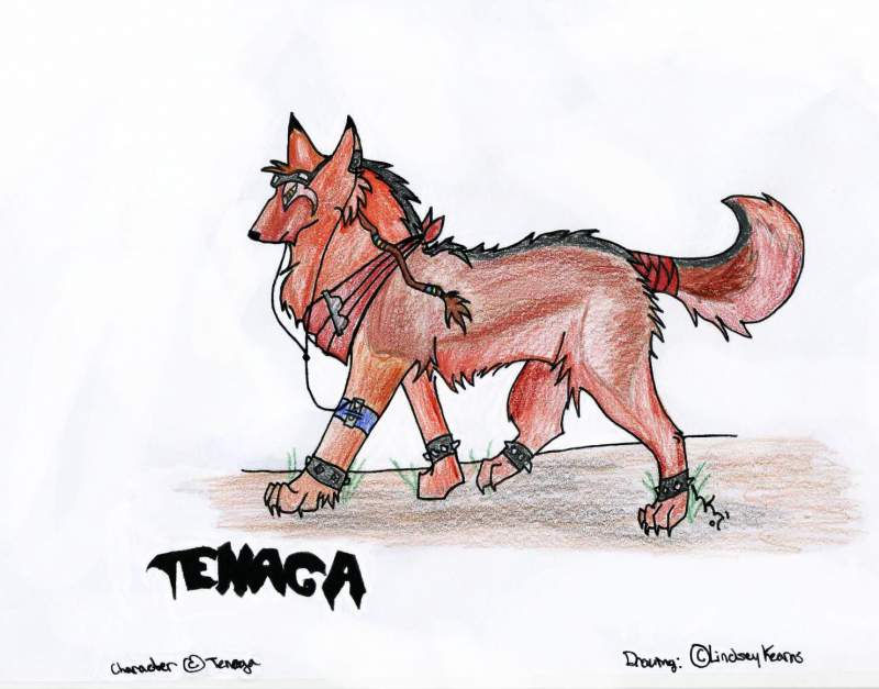 Chracter (C) Tenega