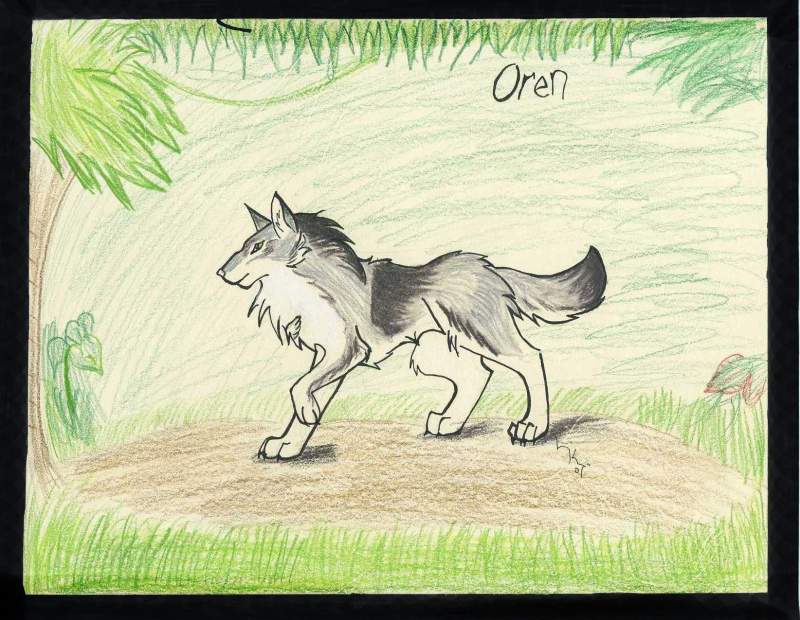 Character (C) WildSpiritWolf