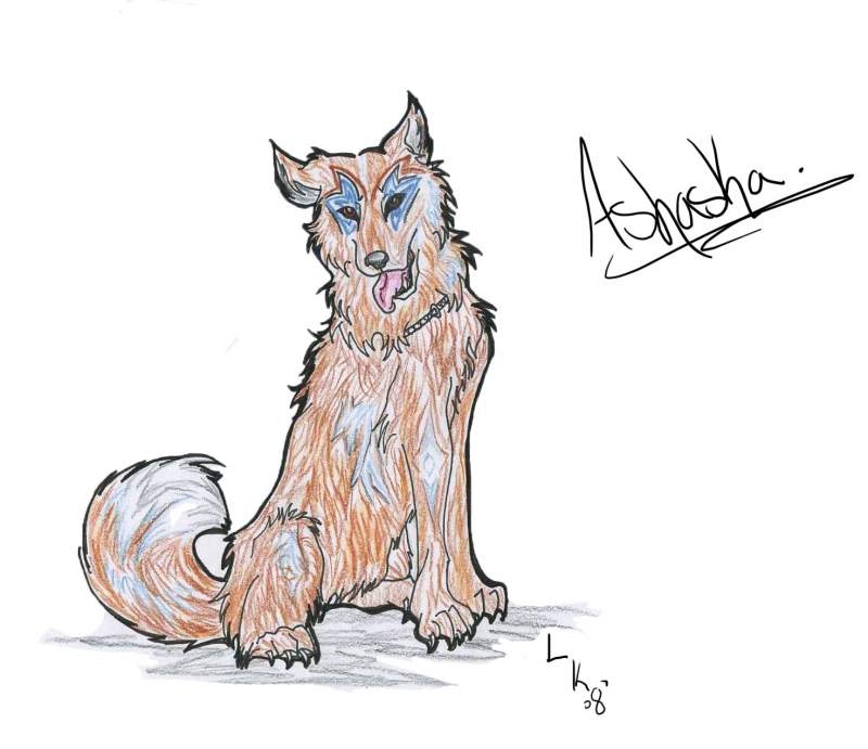 Ashaska