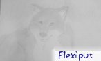 flexipus