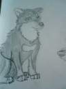 Serbian Husky<3