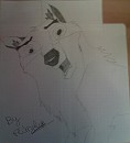 Smile's Balto