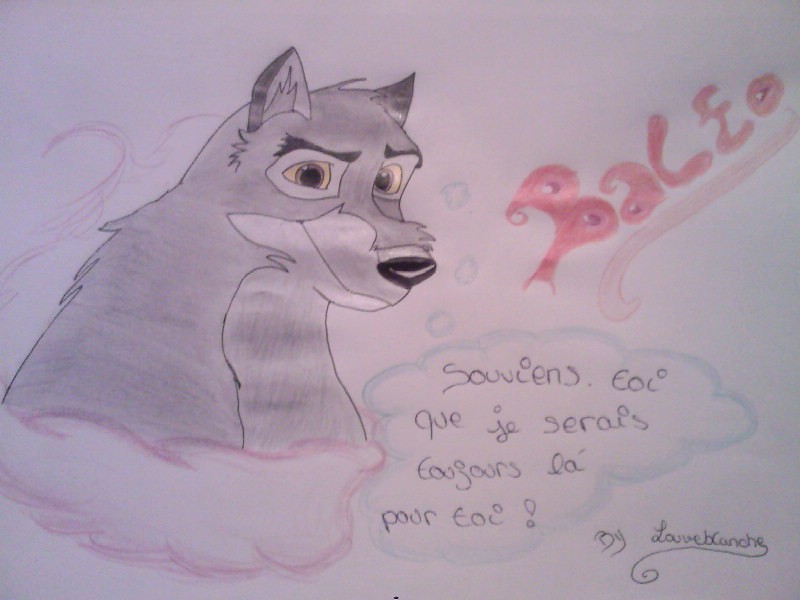 balto pour un ami que j'aime plus que tout