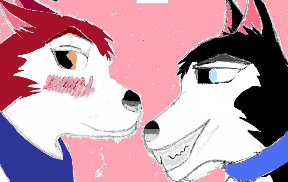 Jenna & Steele as pups