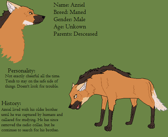 New Character