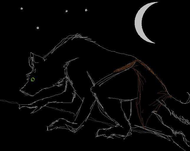 Eyes of the Night