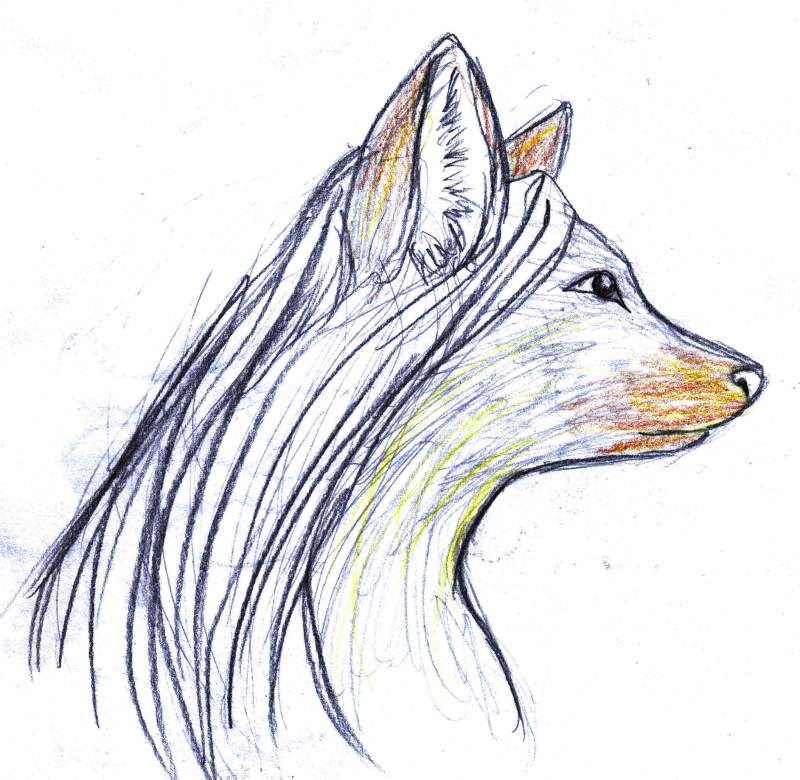Coyote Girl