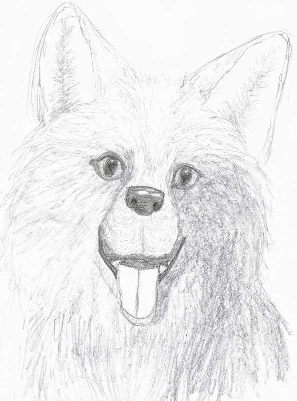 Smiling Baby Balto